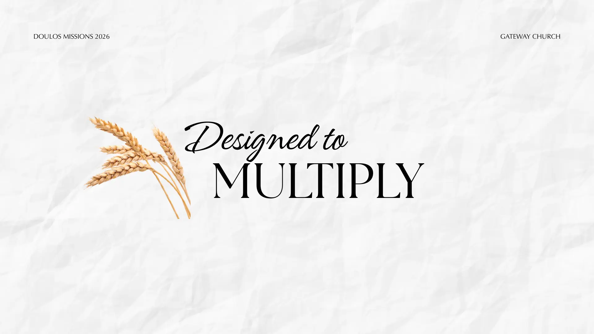 Designed to Multiply
